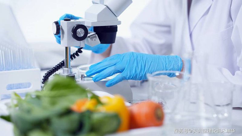 生物技术服务：解锁科技与生命的奥秘
